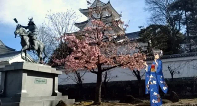 f:id:yobitz:20240224200133j:image