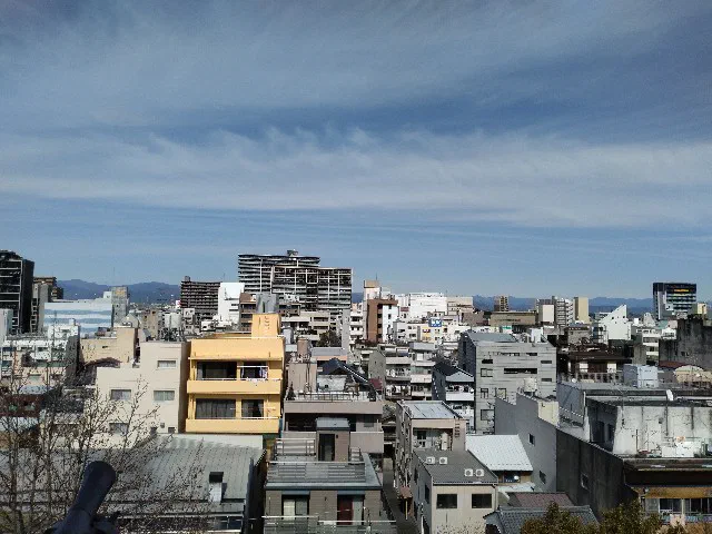 f:id:yobitz:20240224202948j:image