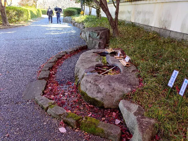 f:id:yobitz:20241201234200j:image